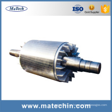 Fundición china de alta precisión de precisión de aluminio Rotor Die Casting